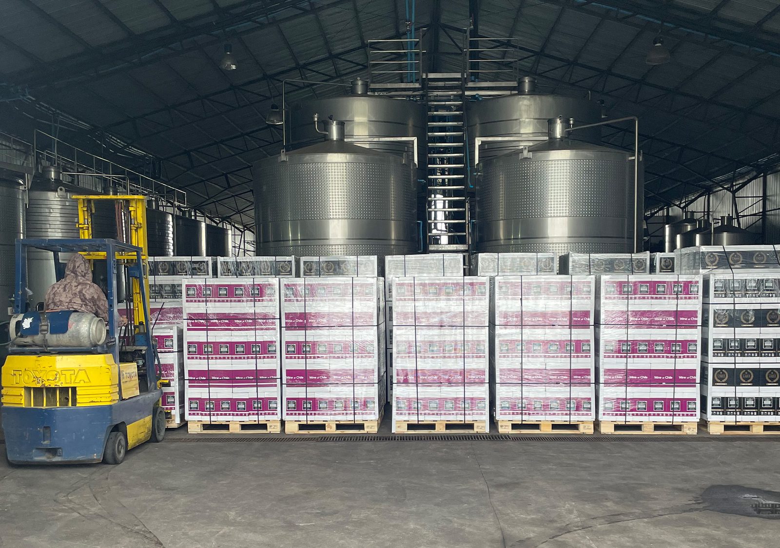 Pallets listos para exportación — Viña Casanueva